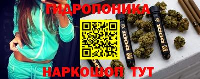 амф Гусь-Хрустальный