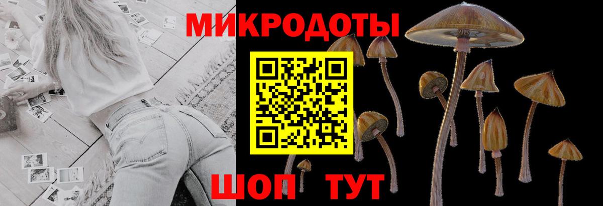 Галлюциногенные грибы прущие грибы Ейск